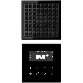 Цифровое электронное радио с дисплеем JUNG LS 990 DAB + (черный)