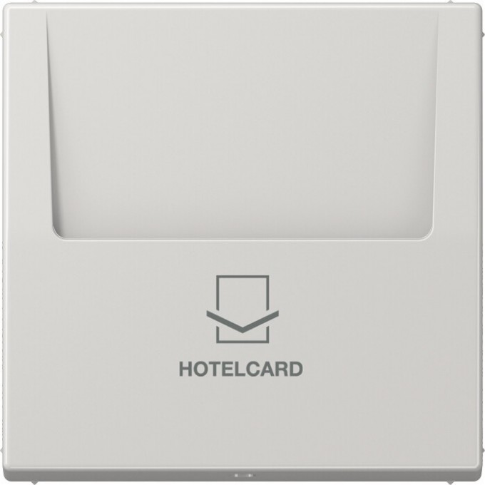 Накладка JUNG LS 990 на карточный выключатель Hotelcard (светло-серый) LS590CARDLG